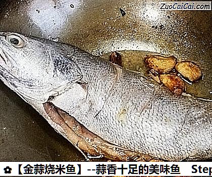 金蒜烧米鱼做法第五步骤