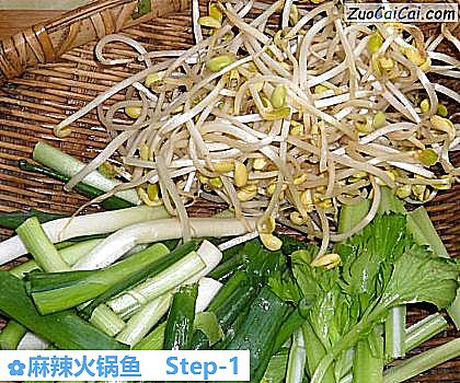 麻辣火锅鱼做法第一步骤