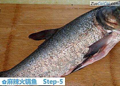 麻辣火锅鱼做法第五步骤