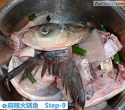麻辣火锅鱼做法第九步骤