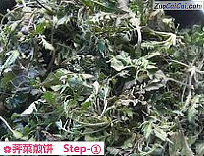 荠菜煎饼做法第一步骤