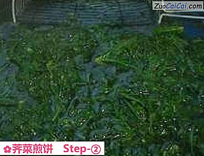 荠菜煎饼做法第二步骤