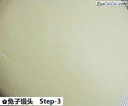 兔子馒头做法第三步骤