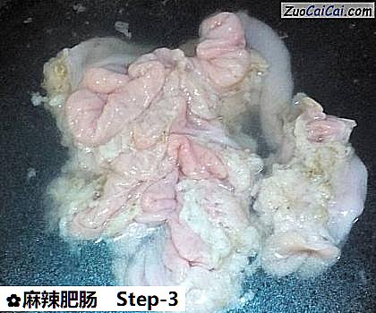 麻辣肥肠做法第三步骤