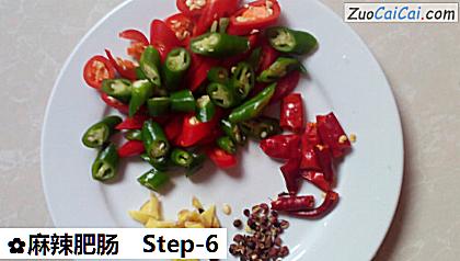 麻辣肥肠做法第六步骤