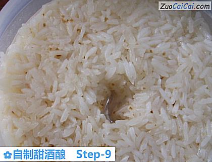 自制甜酒酿成品图1