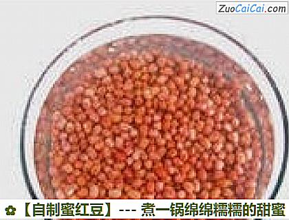 自制蜜红豆做法第一步骤