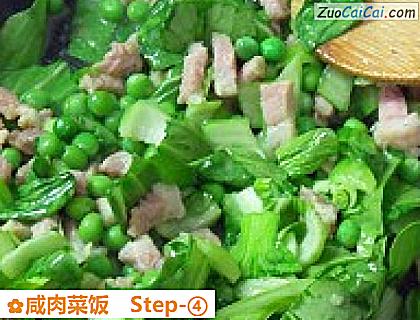 咸肉菜饭做法第四步骤