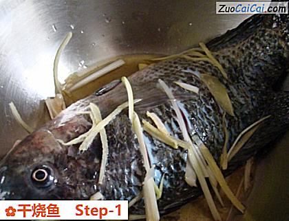 干烧鱼做法第一步骤