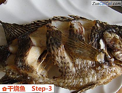 干烧鱼做法第三步骤