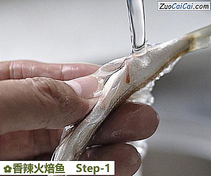 香辣火焙鱼做法第一步骤