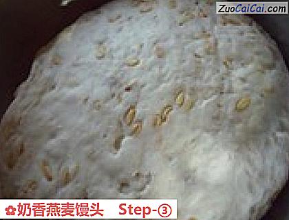 奶香燕麦馒头做法第三步骤
