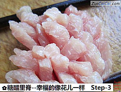 糖醋里脊做法第三步骤