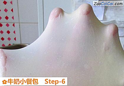 牛奶小餐包做法第六步骤