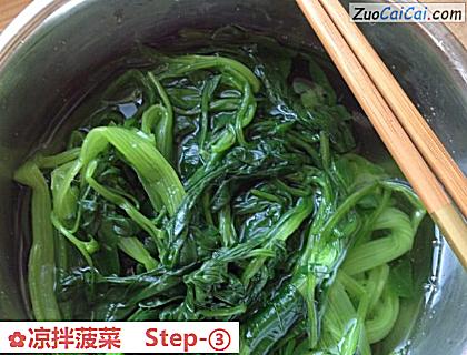 凉拌菠菜做法第三步骤