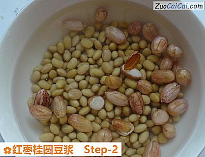 红枣桂圆豆浆做法第二步骤