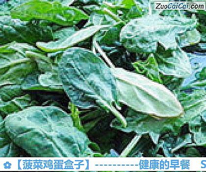 菠菜鸡蛋盒子做法第二步骤