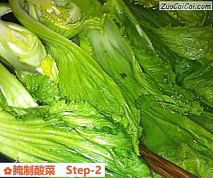 腌制酸菜做法第二步骤