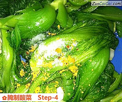 腌制酸菜做法第四步骤