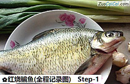 红烧鳊鱼做法第一步骤