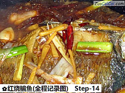 红烧鳊鱼做法第十四步骤