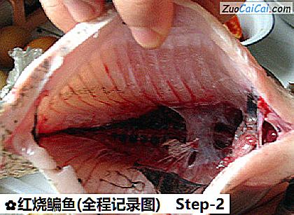 红烧鳊鱼做法第二步骤