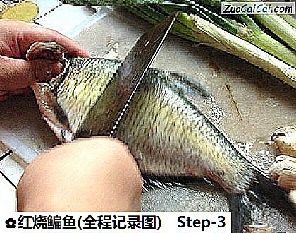 红烧鳊鱼做法第三步骤