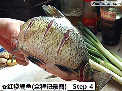 红烧鳊鱼做法第四步骤