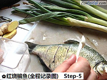 红烧鳊鱼做法第五步骤