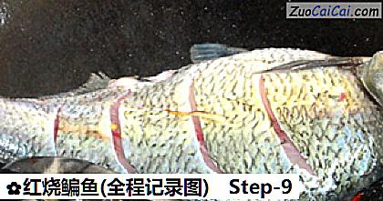 红烧鳊鱼做法第九步骤
