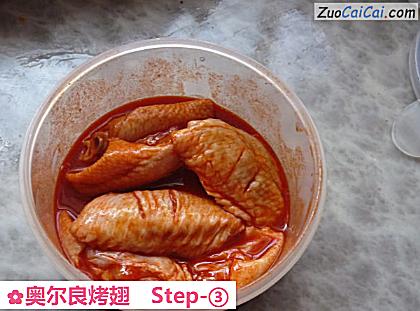 奥尔良烤翅做法第三步骤