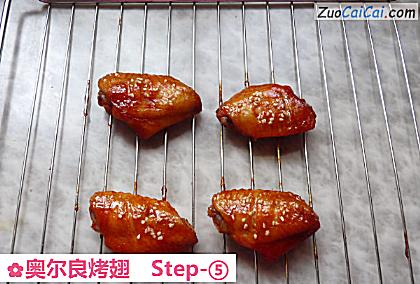 奥尔良烤翅做法第五步骤