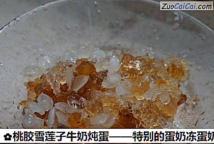 桃胶雪莲子牛奶炖蛋做法第一步骤