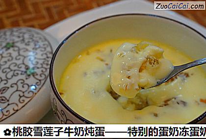 桃胶雪莲子牛奶炖蛋做法第十步骤