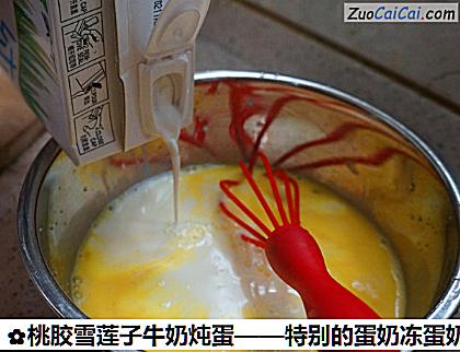 桃胶雪莲子牛奶炖蛋做法第三步骤