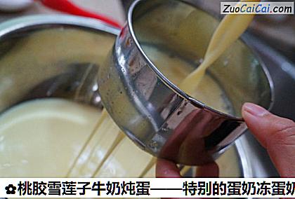 桃胶雪莲子牛奶炖蛋做法第四步骤