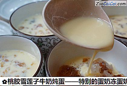 桃胶雪莲子牛奶炖蛋做法第六步骤