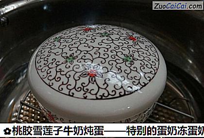 桃胶雪莲子牛奶炖蛋做法第七步骤