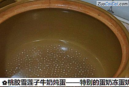 桃胶雪莲子牛奶炖蛋做法第九步骤