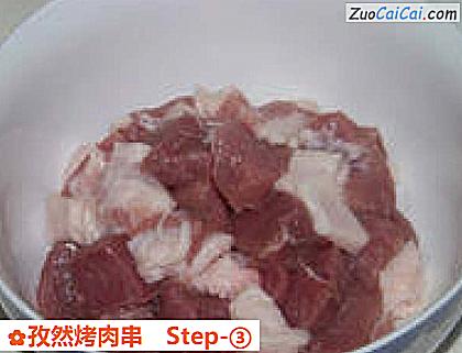 孜然烤肉串做法第三步骤