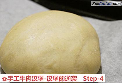 手工牛肉汉堡-汉堡的逆袭做法第四步骤