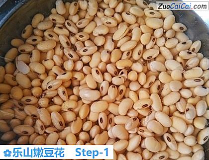 乐山嫩豆花做法第一步骤