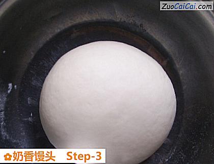 奶香馒头做法第三步骤