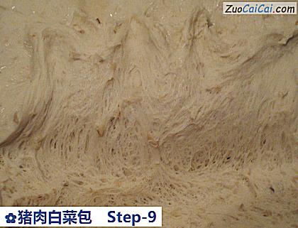 猪肉白菜包做法第九步骤