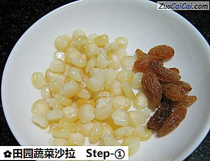 田园蔬菜沙拉做法第一步骤