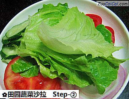 田园蔬菜沙拉做法第二步骤