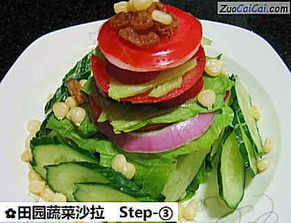田园蔬菜沙拉做法第三步骤