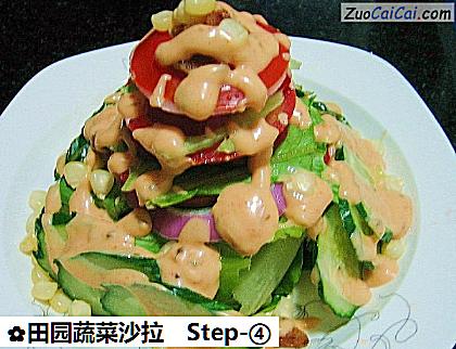 田园蔬菜沙拉做法第四步骤