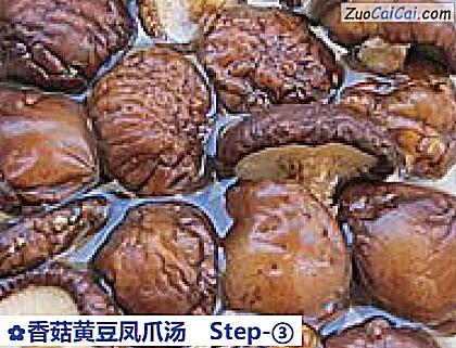 香菇黄豆凤爪汤做法第三步骤