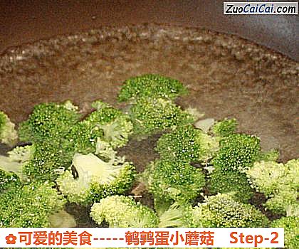 -鹌鹑蛋小蘑菇做法第二步骤